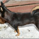 광탄한의원 이미지