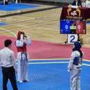 주호태권도 이미지