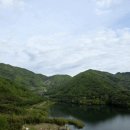 하동솔잎돼지 이미지