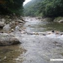 비룡민박 이미지