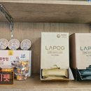 두이펫 네이버블로그