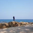 울진해물탕 이미지