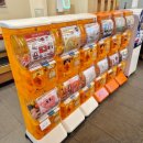 갓파스시 구로디지털단지점 이미지