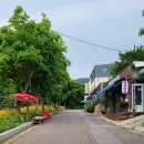 반딧불이 캠핑장 | 인천 강화 캠핑장 / 함허동천 제1야영장 후기 ⛺ 계곡과 반딧불이와 리어카가 있는 곳