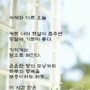 고빨래방 이미지