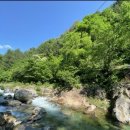 태백산민박 이미지