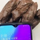 장성한의원 이미지