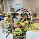 나비 한살이 이미지