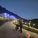 청산면-1 | 청산도 여행펜션 후기 전남 완도군 청산면 청산로 667-13 | 0507-1400-0616