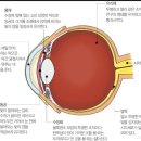예인안과의원 이미지