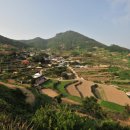 가천다랭이마을 이미지