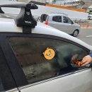 신성자동차서비스 이미지