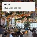 용평동카페 카페네이처 후기, 밀양카페 찾는다면 분위기 좋은 곳