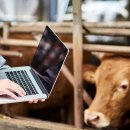 이수동물병원 이미지