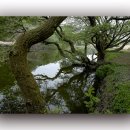 우포늪생태공원 이미지