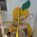 천안두정중학교 | 천안고양이카페 야옹이네고양이카페 천안직영점 강추 후기