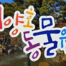대풍원 이미지