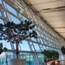 허니문 도어 | 싱가포르항공 SQ607 허니문 케이크ㅣ르라보 어매니티, 신청 방법, 기내식, 와이파이