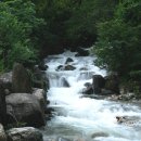 흐르는물 이미지