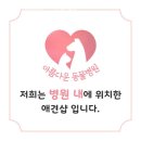 개이쁘개 | 인천 송도동 동물병원 이쁘개아름답개 진료시간 접근성 이용후기