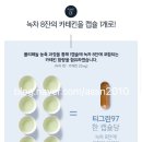 티그린 이미지