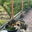 오씨주택 이미지