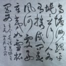 오당 이미지