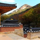 동학사 - 1053 | 동학사