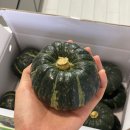 대운농장 이미지