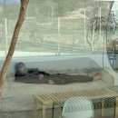 워킹인써클 이미지