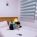 빈센조풀빌라펜션 이미지