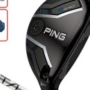 퍼펙트인터내셔날 이미지