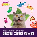 ㈜펫트코리아 이미지