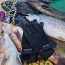 스타텍 | 겨울용 낚시장갑 3년 사용 솔직 후기 [스타텍 프로텍트 네오플랜]