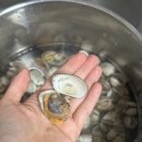 역전꼬막 이미지