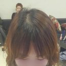 보브헤어갤러리 이미지
