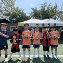 엘리트 스포츠클럽 | 성북구 유소년 축구교실 온더풋볼클럽, 유소년 풋살대회 전 학년 준우승!