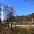 정선 아우라지 둘레길 정선아리랑 강원도 아이와 가볼만하곳