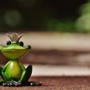 왕자와 공주 이미지