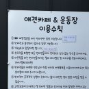 코코애견 | [영암카페] 목포근교 애견카페 코코독스 방문 후기