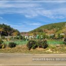 바다햇살고운집 Daum카페