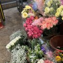 장미상가 | 영신꽃도매상가 장미부케 후기💐 셀프웨딩촬영 직접 만든 생화부케” 주차 가격까지