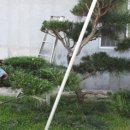 철마우체국 네이버블로그