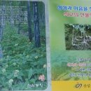 산삼약초전시장