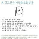 손톱모양 이미지