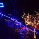 옛날우동짜장 이미지