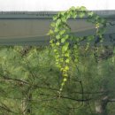 북부수자원생태공원 이미지