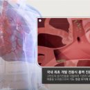 토닥이 - 강남구 논현로 80 | 토닥이