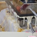 군산착한과일 이미지