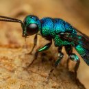 BREAK CALORIE 이미지